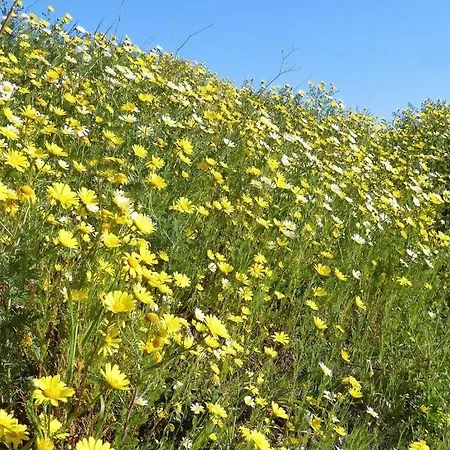 Mas Bellevue Comfortable